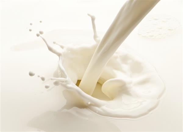 پاشیدن شیر در زمینه سفید