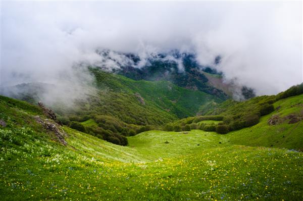 عکس منظره‌ای از مکانی سرسبز و زیبا در اردبیل ایران می‌بینید که مه و کوه به جذاب‌ترین شکل در هم آمیخته شده‌اند گل‌های آبی و زرد روی زمین دیده می‌شوند