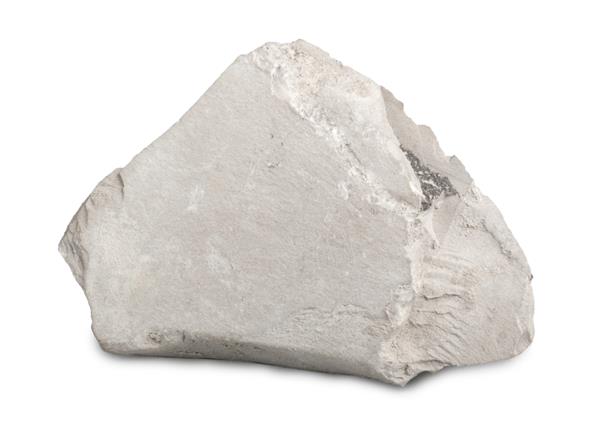 مارن سنگ مارن جدا شده در زمینه سفید سنگ معدنی مارن Marlstone یک گل یا گل سنگ غنی از کربنات کلسیم یا آهک است که حاوی مقادیر متغیری از خاک رس و سیلت است