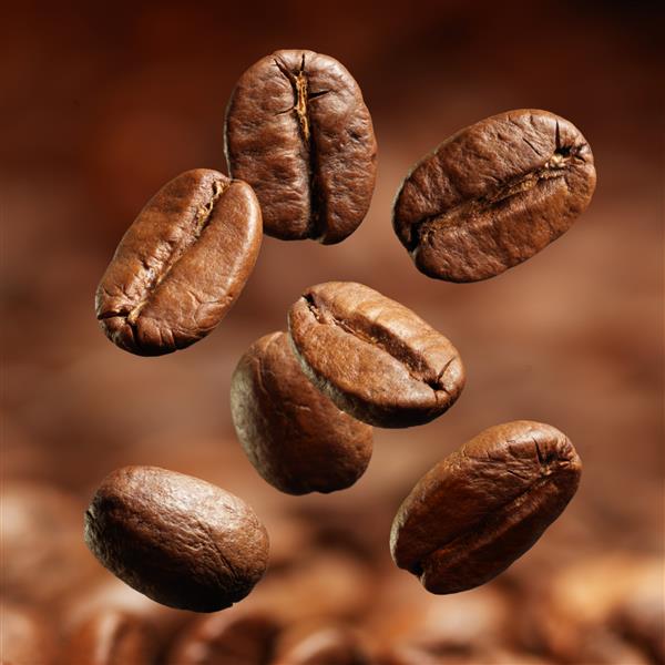 نمای نزدیک از دانه های قهوه با تمرکز روی یکی