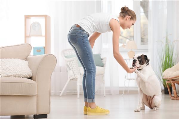 زنی با سگ باکسر سفید ناز در داخل خانه پذیرش حیوان خانگی