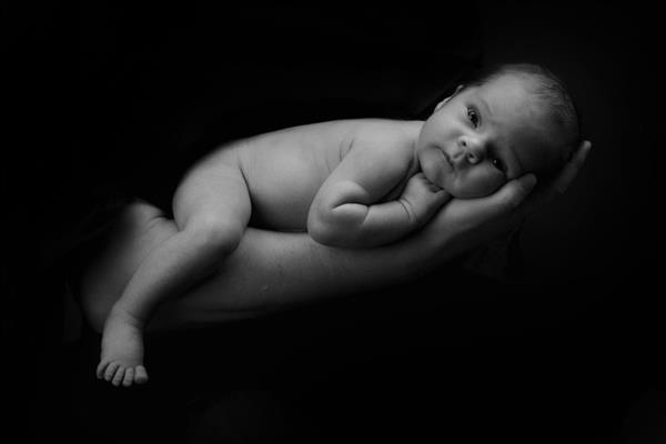 نوزاد تازه متولد شده روی دست پدر وزن بدن