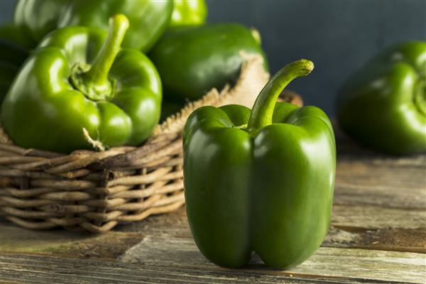 فلفل دلمه ای ارگانیک سبز خام آماده برای طبخ