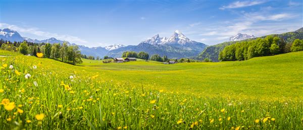 نمای پانوراما از مناظر کوهستانی در رشته کوه های آلپ با علفزارهای سبز تازه در شکوفه در یک روز آفتابی زیبا در بهار پارک ملی Berchtesgadener Land باواریا آلمان