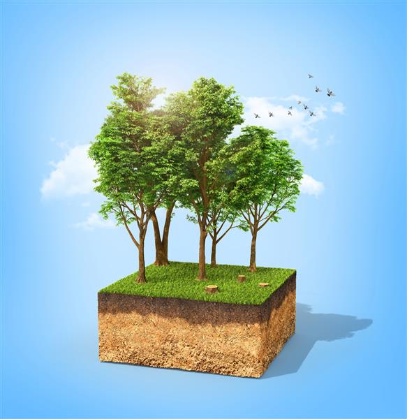 مفهوم اکو مقطع زمین با درختان بلند روی آبی تصویر سه بعدی
