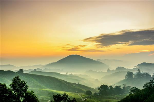 کامرون هایلندز مالزی طلوع خورشید در کوه مزرعه چای سبز ابر متحرک دراماتیک در منظره طبیعت در صبح آفتابی