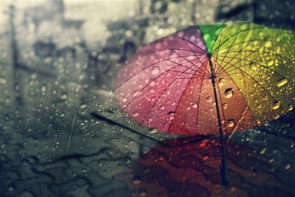 تاری چتر نمای از پنجره در روز بارانی