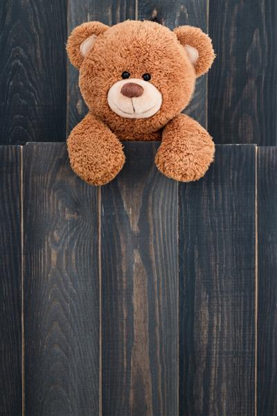 خرس عروسکی زیبا با پس زمینه چوبی قدیمی