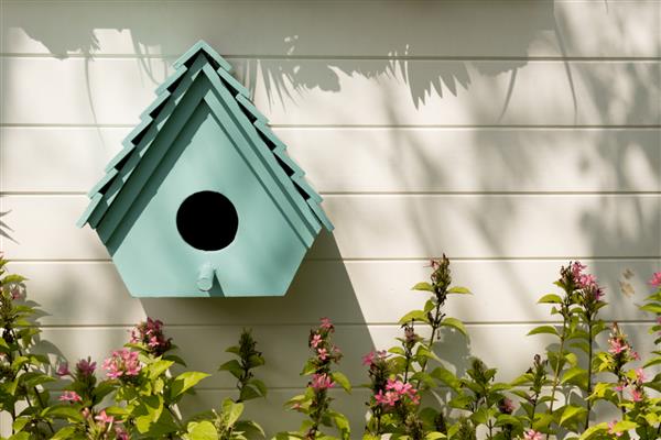 یک خانه پرنده کوچک زیبا روی دیوار چوبی