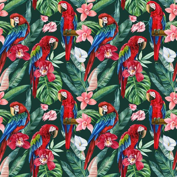 طوطی ماکائوی قرمز الگوی بدون درز استوایی مرسوم مد روز با برگ های نخل به سبک آبرنگ گل و برگ و پرنده
