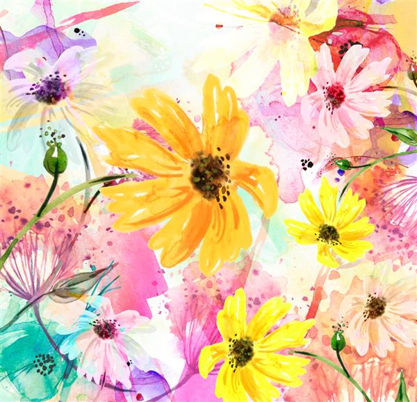 دسته گل آبرنگ گل بابونه گل آذین شوید علف هرز پاشیدن انتزاعی رنگ تصویر مد گل های مزرعه یا باغ تابستان حومه شهر چشم انداز پاییز کارت آبرنگ