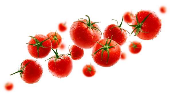 گوجه‌فرنگی‌های قرمز روی یک پس‌زمینه سفید معلق می‌شوند