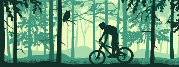 بنر افقی سیلوئت دوچرخه سوار کوهستان در جنگل مه آلود جادویی منظره طبیعت وحشی جغد روی شاخه تصویر سبز