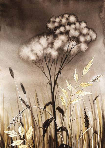 تصویر آبرنگ دستی انتزاعی گل خشک شده با گل آذین های چتری کرکی احاطه شده توسط علف های مزرعه و گیاهان در پس زمینه ای تاریک نقاشی در رنگ های پاییزی قهوه ای اخرایی
