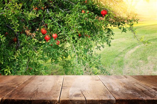 میز تخته چوبی قدیمی در مقابل چشم انداز درخت انار ارائه نمایش محصول