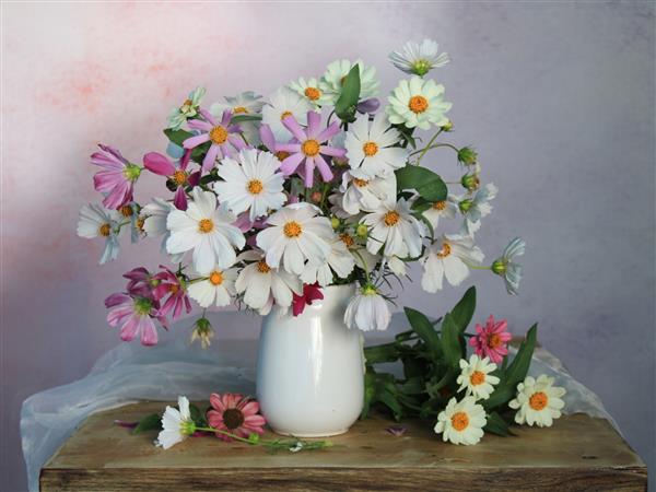 طبیعت بی جان با گل های مروارید cosmei در زمینه رنگارنگ گل های باغ در یک دسته گل