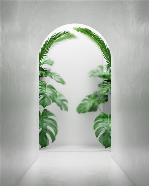 دیوار طبیعی تونل سفید ارائه تازه و روشن زیبایی را به نمایش می گذارد گیاه مونسترا سبز مفهوم طبیعت مراقبت از پوست لوازم آرایشی و بهداشتی نمایش محصول تبلیغات پس زمینه شیشه مات تصویرسازی سه بعدی