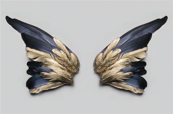 کار هنری بال پرنده طلایی