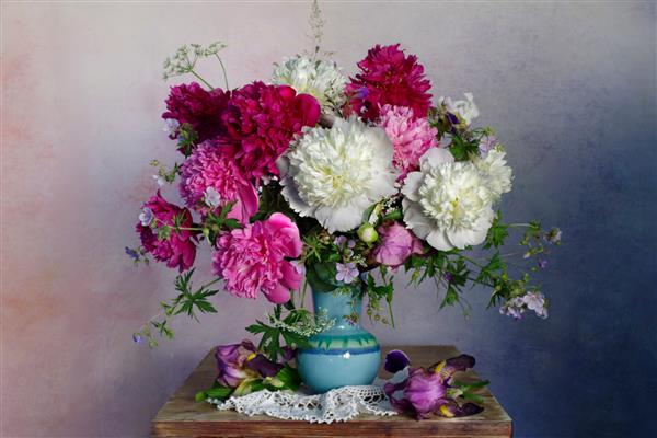 یک دسته گل گل صد تومانی زیبا صورتی و سفید در گلدان 