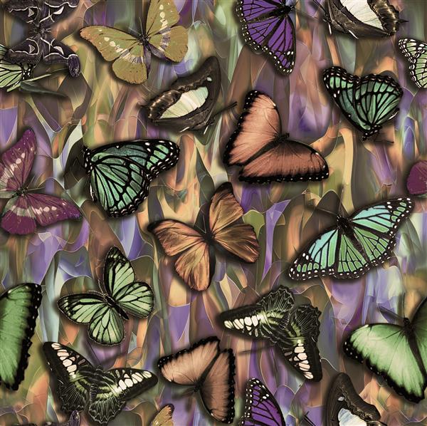 پس زمینه طراحی دیجیتال انتزاعی پروانه رنگارنگ در سراسر