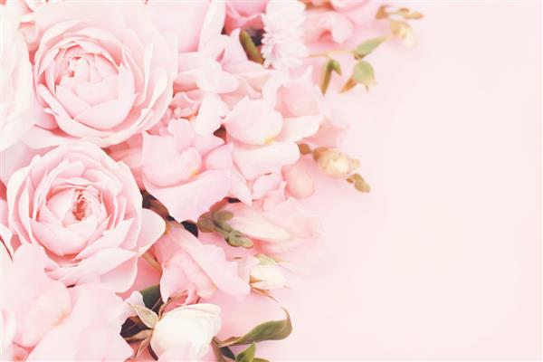 قاب گل‌های رز صورتی رنگ‌آمیزی پس‌زمینه جشن پاستلی شکوفه‌دار کارت گل دسته گل صورتی ملایم فوکوس انتخابی