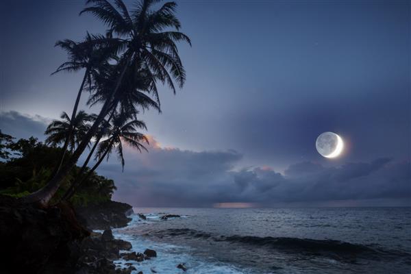 صحنه شب در ساحل استوایی
