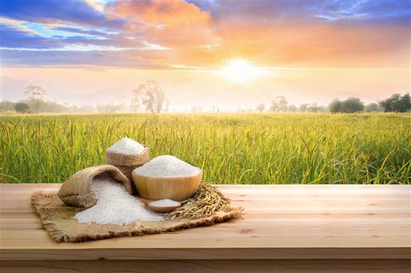 برنج سفید نپخته آسیایی با پس زمینه مزرعه برنج غروب آفتاب و گونی کرفس روی میز چوبی دانه های برنج غذای سالم
