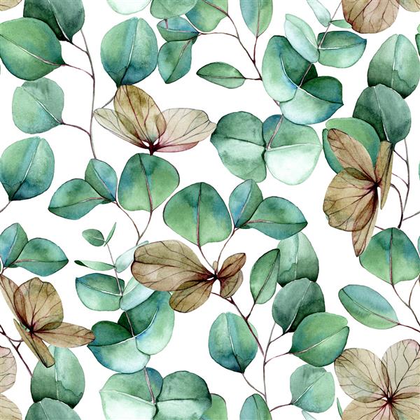 الگوی بدون درز آبرنگ با برگ های سبز اکالیپتوس و گل های خشک ادریسی چاپ وینتیج با موضوع پاییز برای پارچه کاغذ دیواری بسته بندی برگ های اکالیپتوس سبز و آبی روی سفید