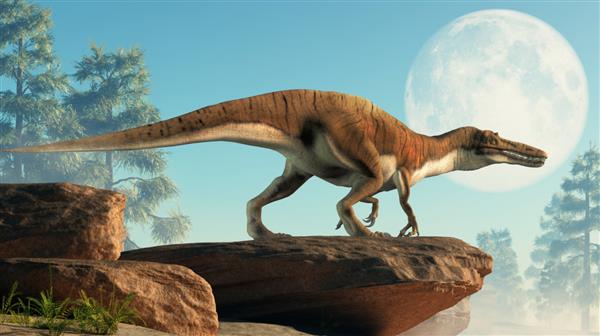 باریونیکس یک دایناسور تروپود اسپینوسورید گوشتخوار بزرگ بود که در اروپای دوره کرتاسه زندگی می کرد به احتمال زیاد در ماهی و نیمه آبزی بود بر روی صخره ای در مقابل ماه کامل به تصویر کشیده شده است رندر سه بعدی