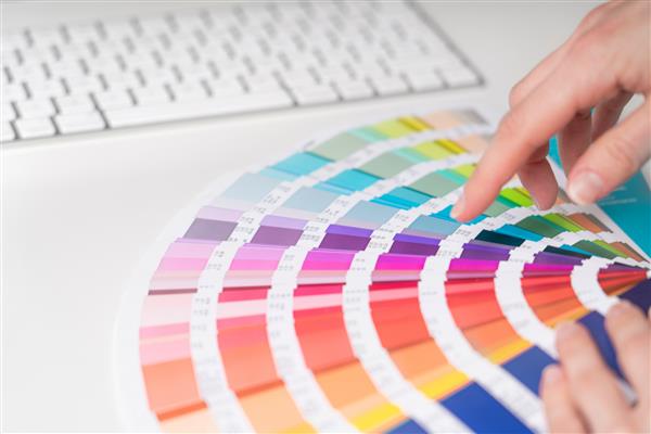 طراح گرافیک روی انتخاب رنگ های پالت برای تجارت خلاق کار می کند