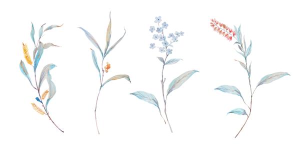 گل های آبرنگ زیبا برای طرح شما و الگوی گل برای کاغذ دیواری یا پارچه