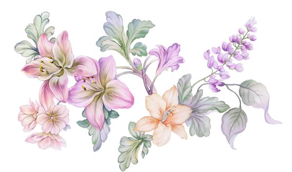 تصویر آبرنگ گلها ترکیب دستی عناصر آبرنگ مجموعه بزرگ
