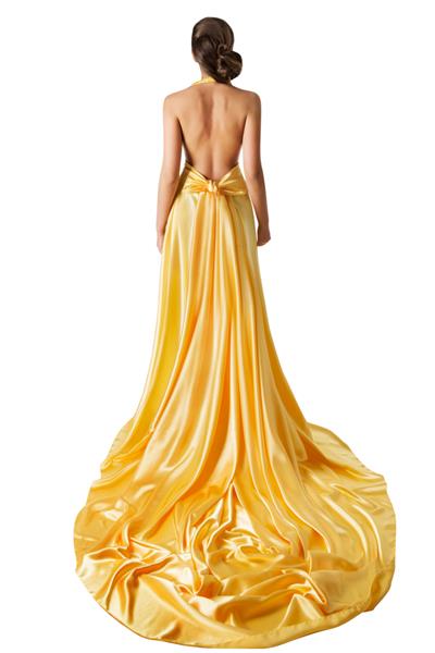 لباس شب زنانه از پشت نمای عقب مدل مد شیک در لباس مجلسی زیبا با دم قطار بلند