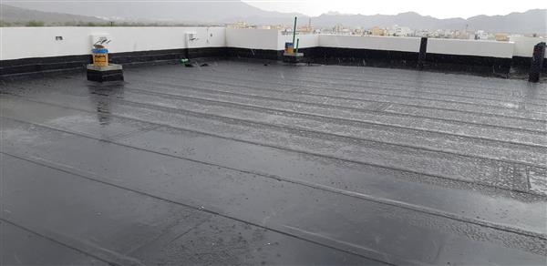 سایت ساخت و ساز سقف رول تخمگذار ضد آب