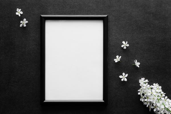 گیلاس پرنده سفید تازه در زمینه سیاه و تیره کارت تسلیت جای خالی برای متن احساسی احساسی نقل قول گفته ها یا عکس در قاب