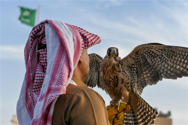 مرد عربی اهل عربستان سعودی لباس های سنتی می پوشد و شاهین آموزش دیده در دست دارد
