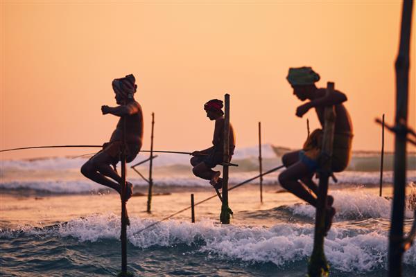 سیلوئت های ماهیگیران سنتی ماهیگیری سنتی در نزدیکی گال در سریلانکا