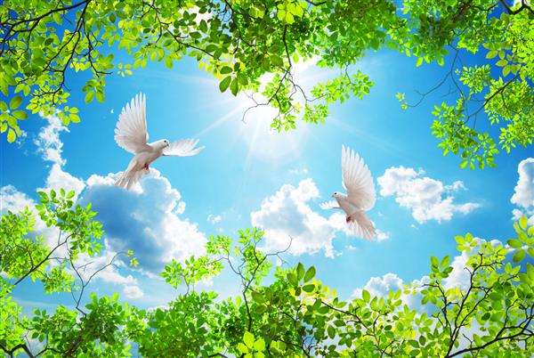 پرواز کبوترها در میان برگهای سبز در یک روز آفتابی