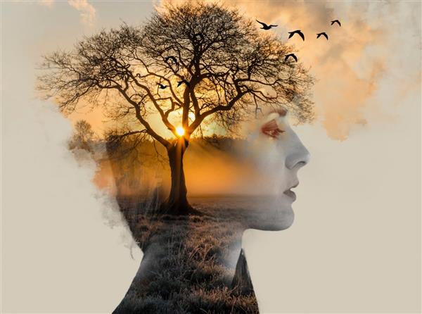 نوردهی دوگانه زن زیبا با برنزه با غروب آفتاب و درخت تنها مفهوم تنهایی