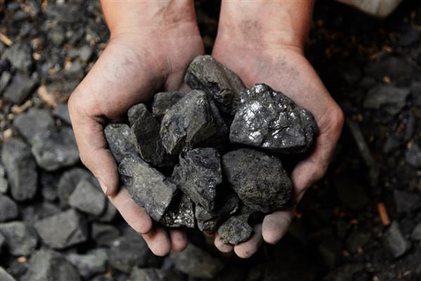 معدنچی زغال سنگ در دستان مرد با پس زمینه زغال سنگ استخراج زغال سنگ یا منبع انرژی حفاظت از محیط زیست زغال سنگ صنعتی سنگ آتشفشانی