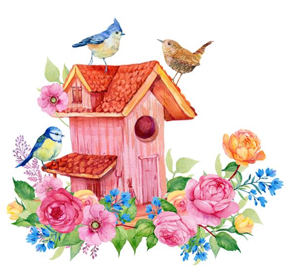 پرندگان و گل های خانه پرنده تصویر آبرنگ برای تزئین کارت گلدوزی