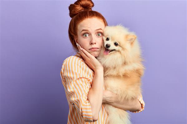 دختر ترسیده ترسیده با یک پلمپ روی چکش حیوان خانگی خود را در آغوش گرفته از کسی می ترسد پرتره نزدیک پس زمینه آبی ایزوله عکس استودیویی