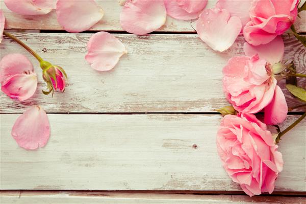 پس زمینه قاب گلدار رمانتیک پس زمینه روز ولنتاین گل رز صورتی روی زمینه چوبی