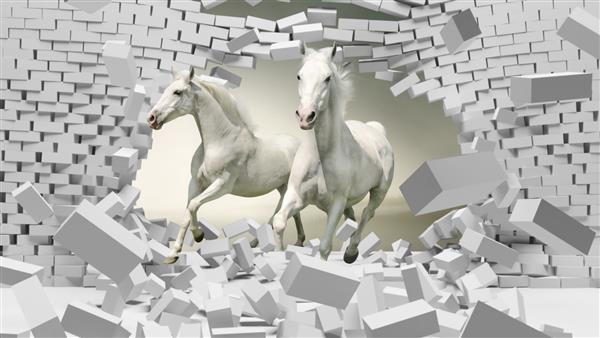 اسب های سفید از میان یک دیوار آجری سفید عبور می کنند