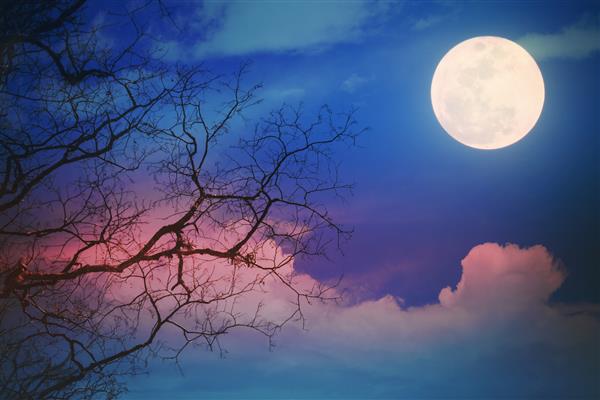 درخت مرده و آسمان شب فانتزی با ابر ستاره و ماه