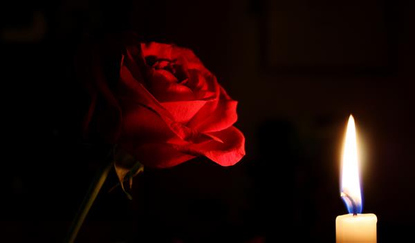 یک گل رز قرمز و یک شمع سوزان در پس زمینه سیاه