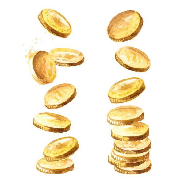 سقوط سکه های طلا سقوط پول مجموعه جکپات یا مفهوم موفقیت تصویر طراحی شده با آبرنگ جدا شده در پس زمینه سفید