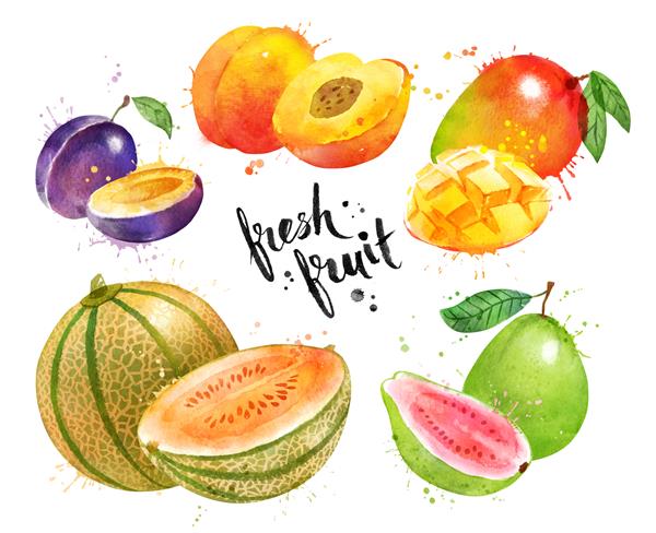 مجموعه تصویری با آبرنگ از میوه‌های کامل و برش‌شده با لکه‌های رنگ و پاشیده شدن