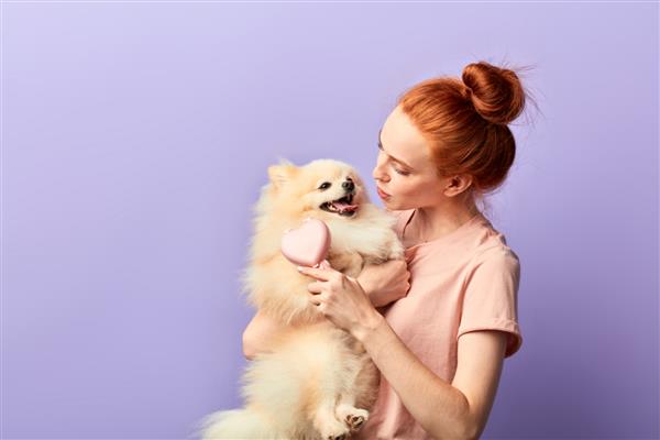 دختر خوب و دوستانه ای که موهای سگ را شانه می کند پرتره نزدیک پس زمینه آبی جدا شده عکس استودیویی