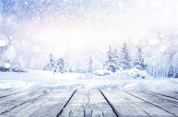 منظره منظره کریسمس زمستانی با فضای کپی کفپوش چوبی پر از برف در جنگل با درختان صنوبر پوشیده از برف در طبیعت